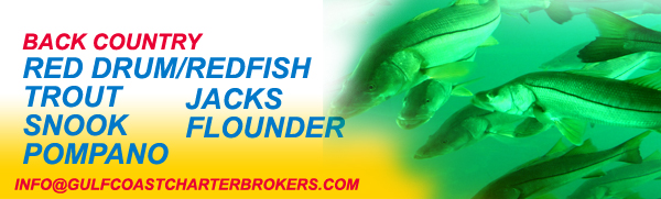 Redfish, Snook, Pompano, Jacks, Flounder - Boca Grande, FL
